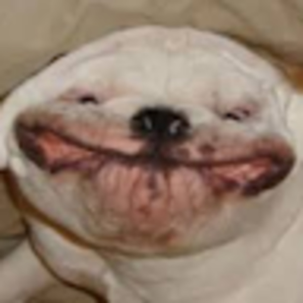 Meet your Posher, Nathan